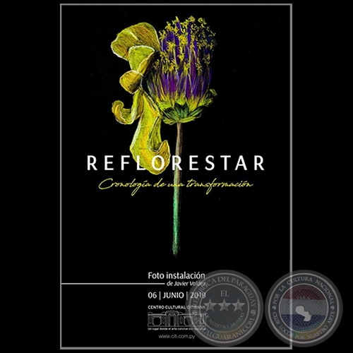 REFLORESTAR - Cronología de una transformación - Foto instalación de Javier Valdez - Jueves, 06 de Junio de 2019